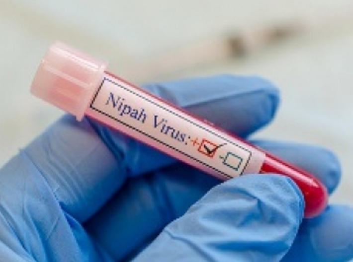 The resurgence of Nipah virus in Kerala