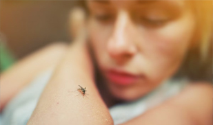Dengue Cases Have Been Rising; Here’s How You Can Protect Yourself From The Deadly Virus