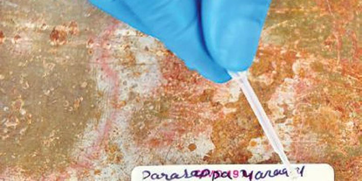 Recovered Covid patients may be immune to new virus strains