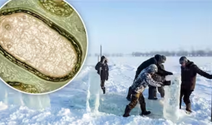 What Is Zombie Virus: Preventive Steps Against This Viral Spread