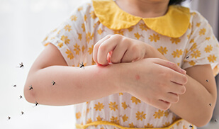 Researchers explore novel therapies to stall severe dengue as vaccine development gains momentum